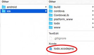 Find the Xcode file